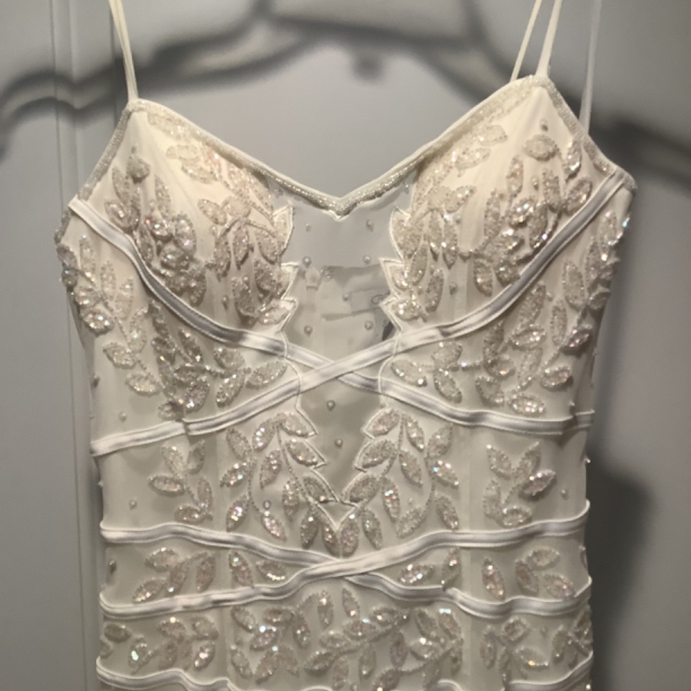 Cache Wedding/Special Occasion Dress - Picture 2 of 8